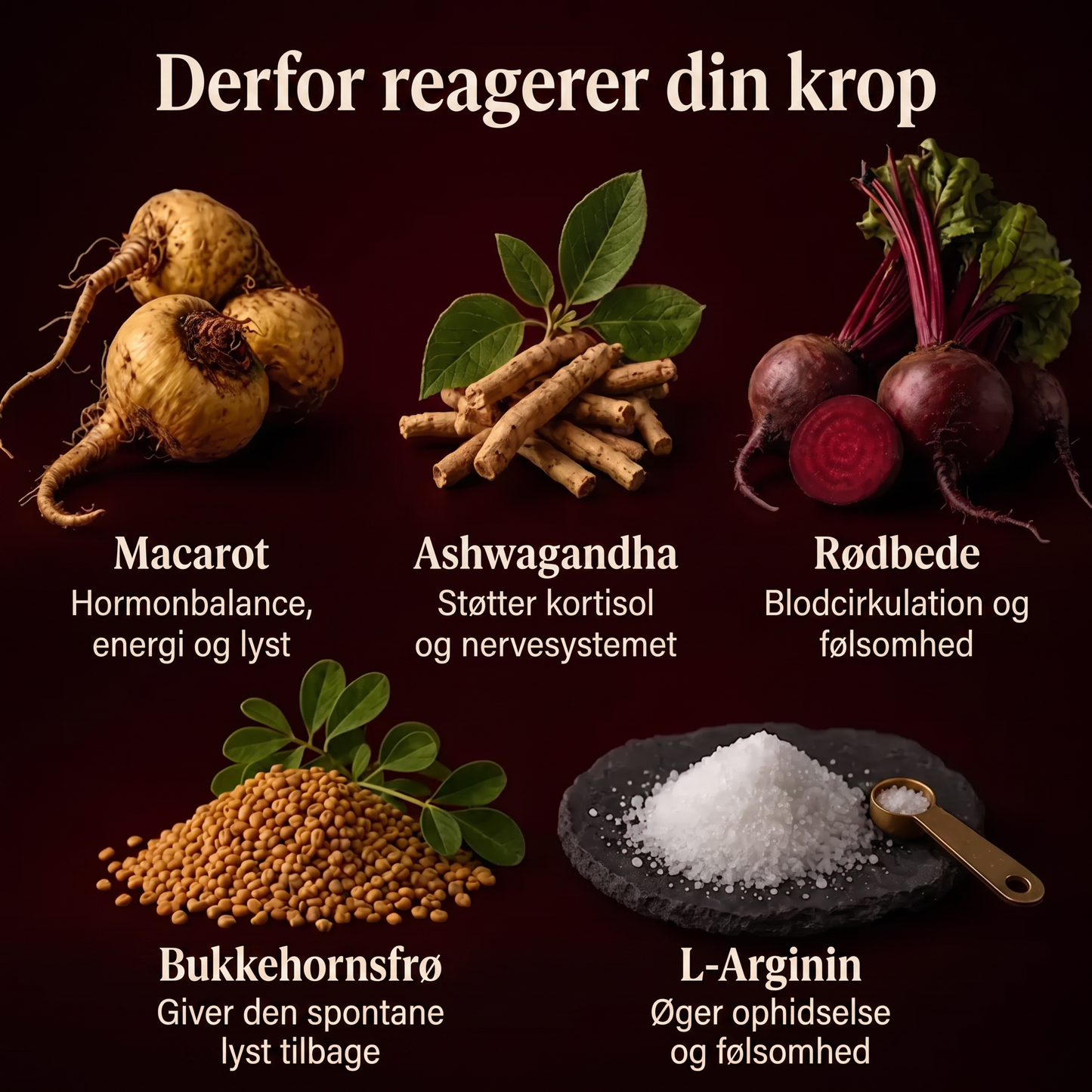 Maca-rod-kompleks – Hormonel balance & støtte til lysten hos kvinder